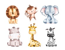 Set Of Safari Animals Illustration 