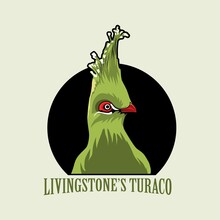 Livingstone's Turaco Head Illustration Design Icon Logo Vector