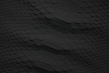 Black Snake Skin Texture, Reptile Leather As Background