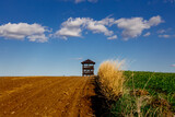 Fototapeta  - Widok na domek z wiejskiego wzgórza z dwiema częściami pola jedna cześć złota druga zielona