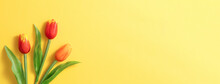 Mother's Day Background Concept. Top View Design Of Holiday Greeting Tulip Flower Bouquet On Bright Yellow Table