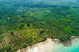 Fototapeta Na sufit - Aerial view sea beach turquoise water nature landscape