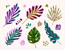 Color Vector Illustration. Set Of Bright Tropical Leaves, Flowers, Dots, Jungle Plants. Nature And Vegetation.