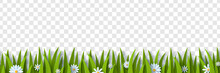Grass And Chamomile Paper Cut Border Isolated On Transparent Background. Vector Illustration. Seamless Spring Or Summer Green Pattern. Happy Easter Frame With White Daisy