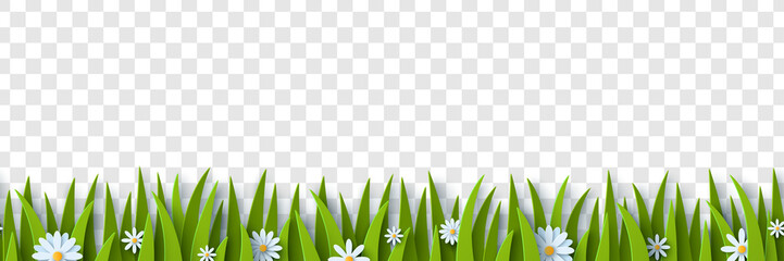 Wall Mural - Grass and chamomile paper cut border isolated on transparent background. Vector Illustration. Seamless spring or summer green pattern. Happy Easter Frame with white daisy