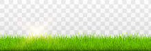 Vector Grass, Lawn. Grasses Png, Lawn Png. Young Green Grass With Sun Glare.
