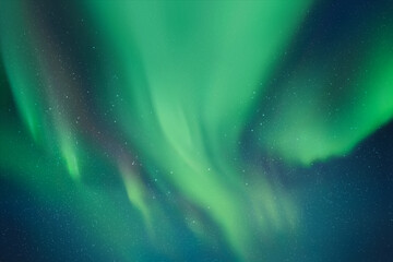 Sticker - night starry sky and northern lights. green aurora borealis