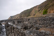 Upturned beds of Pilton shale of differing resistance that has been eroded into ridges, Sauntons Sands, Braunton, Devon