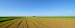 © Solid photos - Agricultural wheat field on sunny spring day
