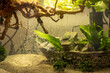 Clean aquarium water with a boat, bubbles on a glass, pet fish texture bg