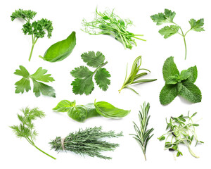 set of fresh green herbs on white background