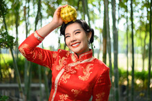 Asian Pretty Chinese Woman Dress Traditional Cheongsam Pose With  Golden Pig Saving