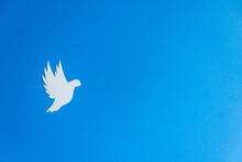 White Paper Dove Bird As A Symbol Of Peace Isolated On Blue Background. Peace To Ukraine. International Day Of Peace.