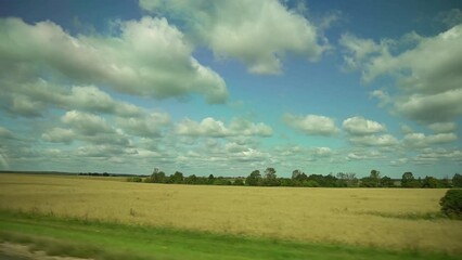 Wall Mural - Rural landscape in summer. Footage of a beautiful field and sky.