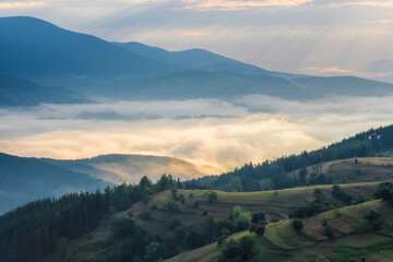 Wall Mural - Amazing view of beautiful low clouds creeping on the tree-covered mountain slopes, the Rhodopes in Bulgaria at sunrise.