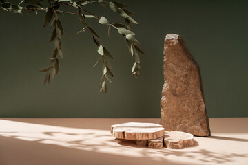 Composition empty podium material tree stone dry flowers. Product presentation. Background beige green. Beautiful background from natural materials.