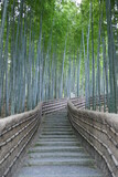 Fototapeta Sypialnia - 京都奥嵯峨の化野念仏寺の竹林
