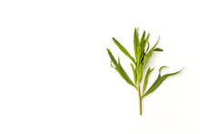Top View Of Tarragon Or Estragon Green Leaves Isolated On White Background With Copy Space For Text.