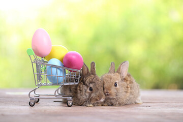 Baby cute and adorable rabbit sitting on green grass. Small and young bunny  is a lovely furry pet.  Easter concept on yellow background, egg and grass with bokeh as nature background