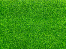 Green Grass Texture Background Grass Garden Concept Used For Making Green Background Football Pitch, Grass Golf, Green Lawn Pattern Textured Background..