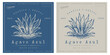 Blue agave vintage logo tequila template
