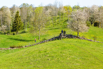 Wall Mural - people on a hiking trail that crosses a stone wall