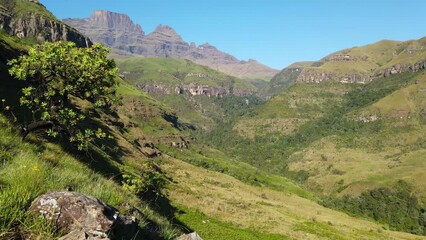 Wall Mural - Panning view of the Drakensberg mountains with lush vegetation of summer, South Africa