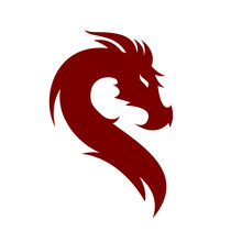 Dragon Head Logo Icon Flat Vector Illustration Mascot Design