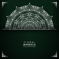 Wall Mural - luxury mandala design plant motif background