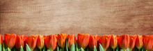 Banner With Red Tulips On Brown Wooden Background. Extra Wide Format, Place For Text, Copy Space