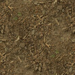 © Anna - soil in the ground, seamless forest textures.