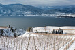 Winter Vineyard Okanagan Valley Winery Landscape