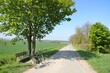 Radfahren in der Region Hannover, Feldweg bei Ronnenberg mit Blick auf Gehrden, Niedersachsen