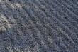 Japan Garden Hintergrund kleine graue steine