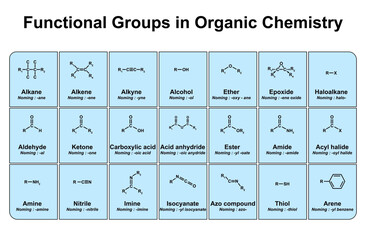 Functional Groups in Organic Chemistry. Colorful Symbols. Vector Illustration.