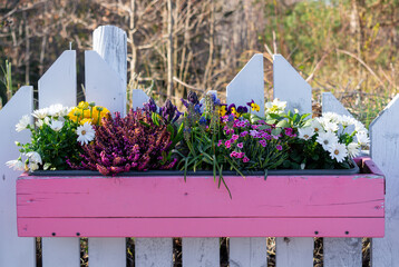 Sticker - Flower pot with spring flowers. Home and garden decoration