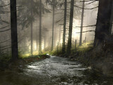 Fototapeta Łazienka - las rzeka woda słońce