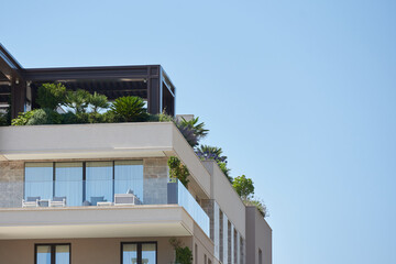 Palms and plants on the rooftop patio in Europe