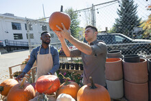 Male Garden Shop Owner Helping Customer With Pumpkins On Patio