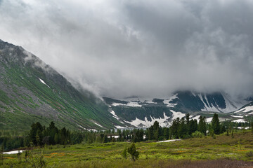 Wall Mural - Dense fog roofed tops of snow peaks, reducing visibility. Rain clouds over mountain valley. Slopes are covered with forest and glacier. Travel through spring highlands on foot.