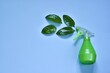 Green spray bottle with green leaves on a blue background. Concept of natural eco friendly cleaning product. Flat lay composition with copy space