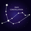 The constellation of Pavo with bright stars. Vector illustration.