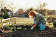 © cherryandbees - woman gardening in her backyard garden