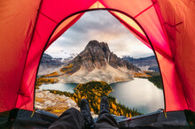 Hiker Man Relaxing In A Tent With Mount Assiniboine View In Autumn Forest