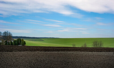 Wall Mural - panoramic view of plowed field with green field, blue skies wiith clouds, agriculture in spring