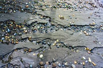 Canvas Print - Shoreline Sand And Rocks Macro