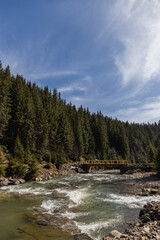 Wall Mural - Mountain river with bridge and forest at background.