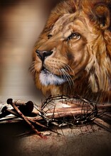 LION JESUS KING OF GLORY