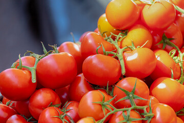 Wall Mural - Selective focus red tomatoes in the basket display on the market stall with sunlight, The tomato is the edible berry of the plant Solanum lycopersicum, Fresh vegetable from farm, Nature background.