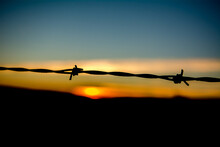 Silhouette Of Barbed Wire At Sunrise